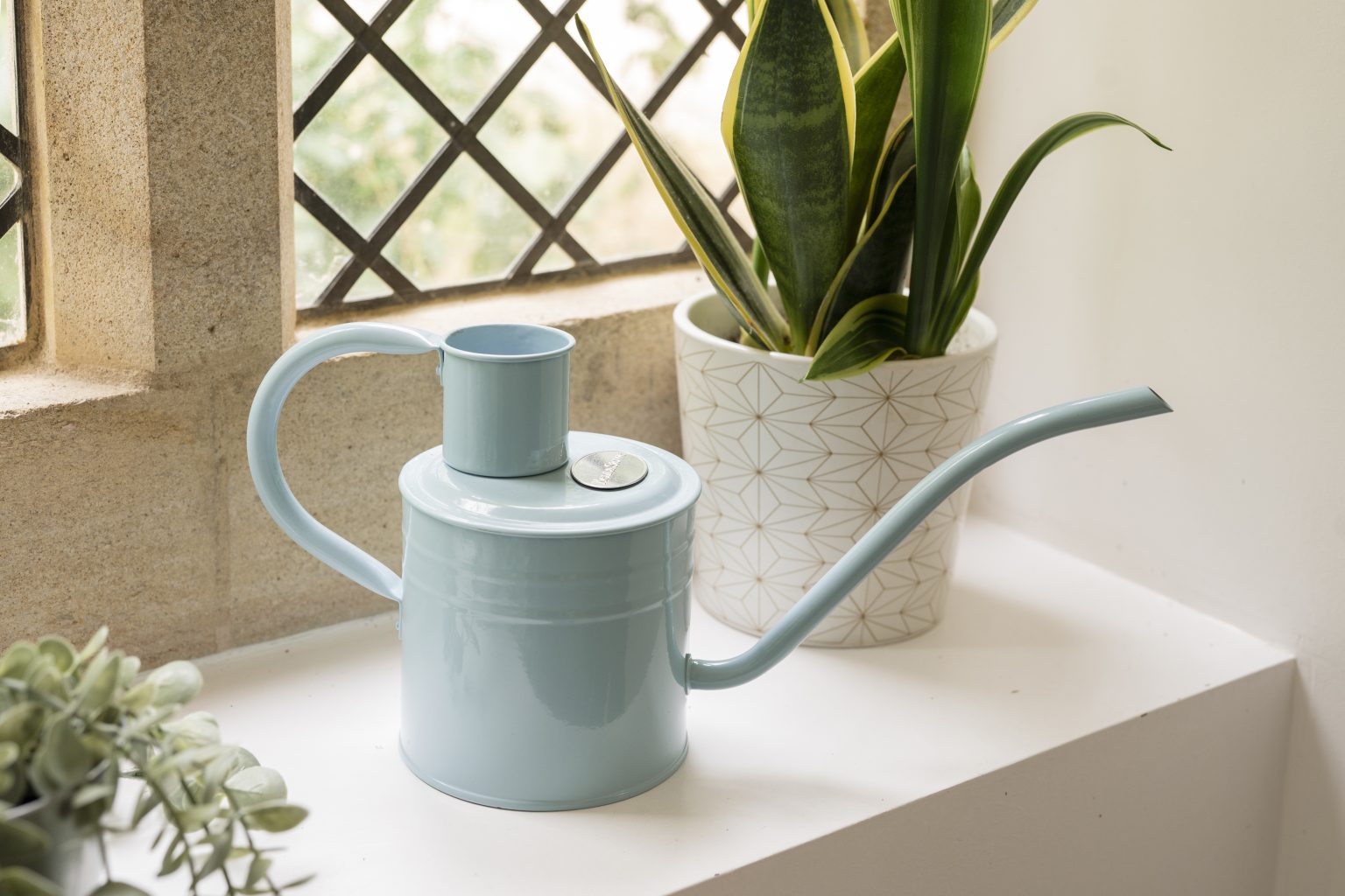 Kent Stowe Blue Sky Indoor Watering Can