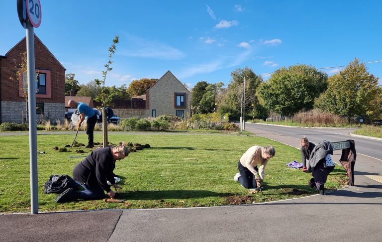 Community spirit in bloom: Pye Homes hosts community daffodil planting event 