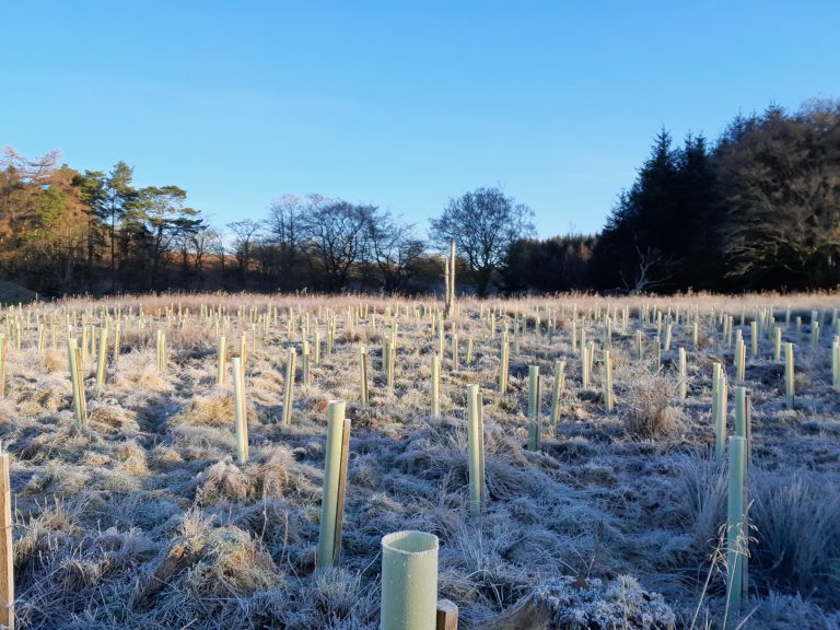 Green-tech Supports Tilhill Forestry in Creating New Riparian Broadleaves Area in South Scotland