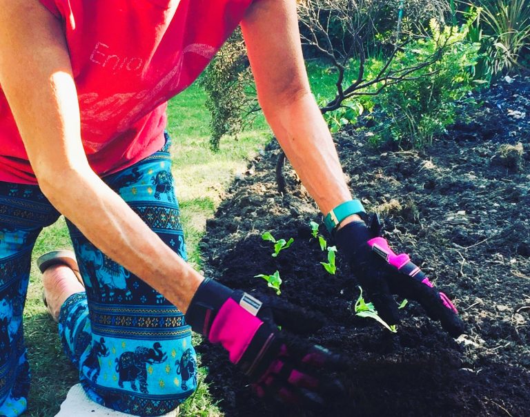 What’s the Best Time to Plant Out Seedlings? A Guide for UK Gardeners