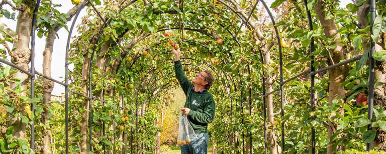 The core tips & products for a tasty ‘National Apple Day’!