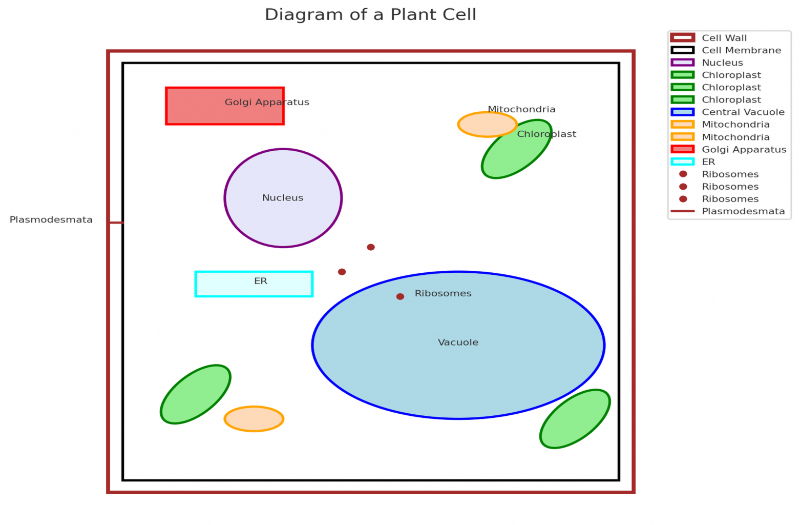 plant cell