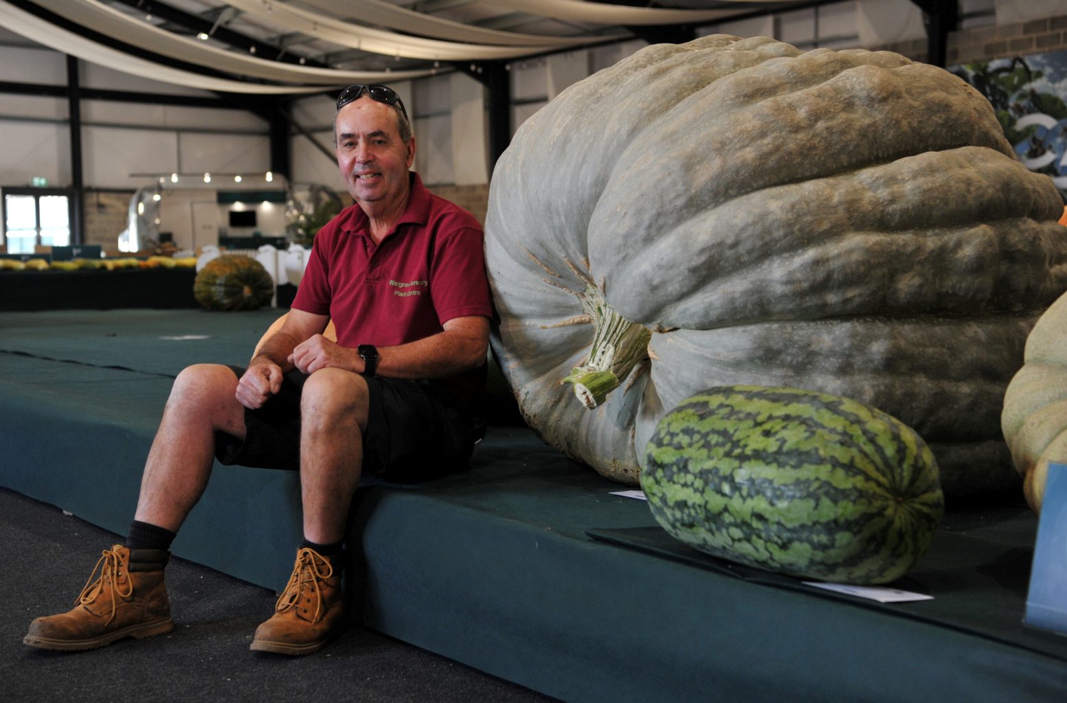 Malvern Autumn Show Pre 250925 039 1