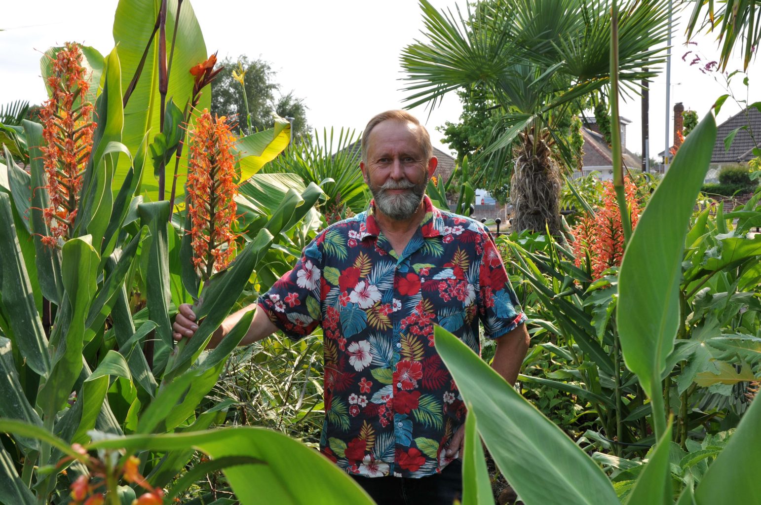 Mike Clifford in Urban Jungle Garden