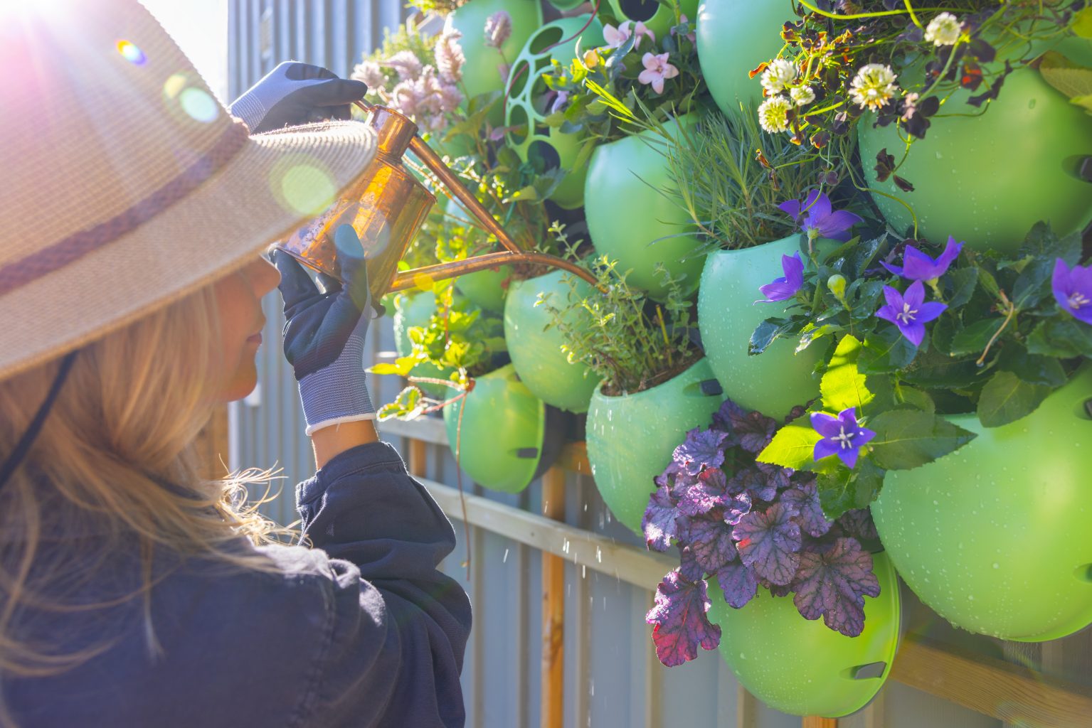 Grow up, not out: transform every wall into a wildlife-friendly green oasis with Eggologic 1 16e64774 a313 4117 9d88 5e603bbec5a8 1