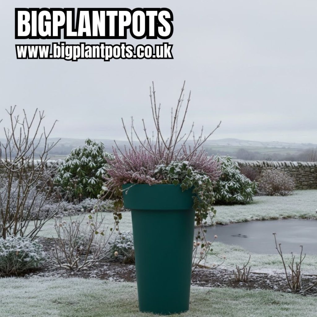 BigPlantPots: Bold Design, Built for Growing Big 2 1b03a220 ecf8 4b0a bc26 8f6a4c13fbfd