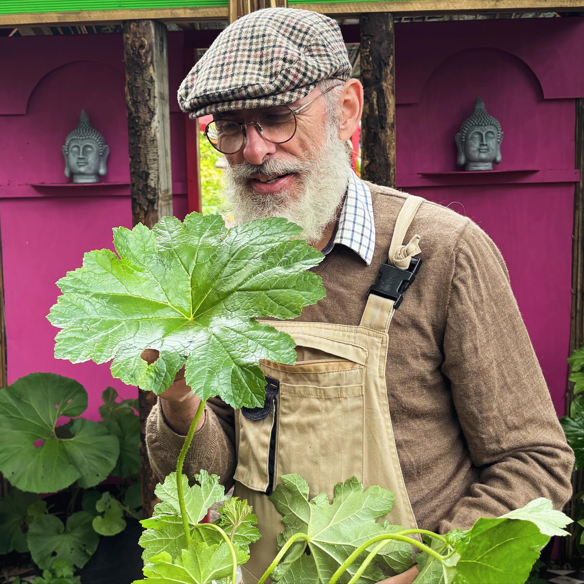 448403690_459765916643979_6685757562102544055_n