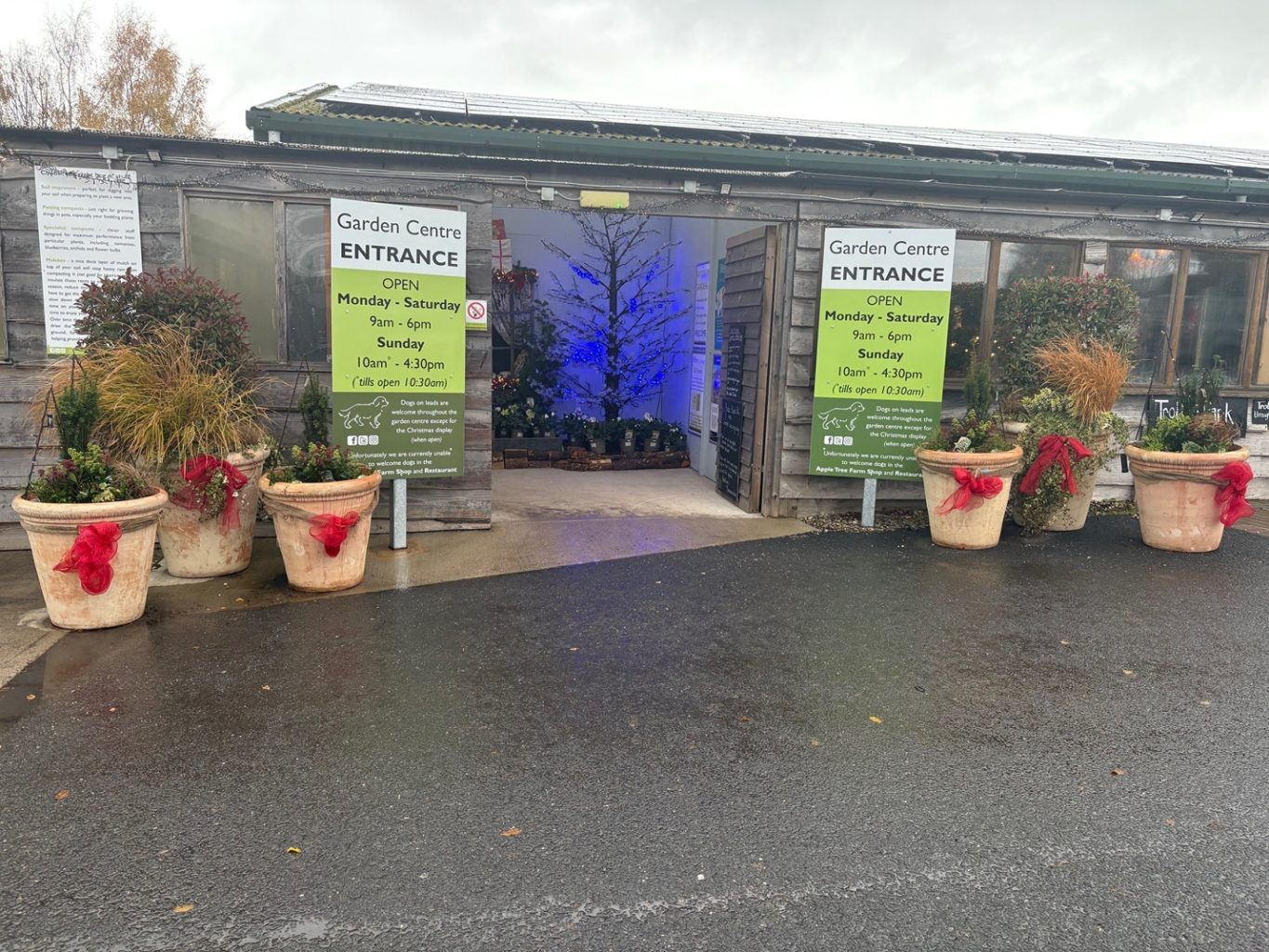 GCA reveals 2025 Christmas display competition winners 6 Brimsmore Gardens in Somerset winners of the Christmas comp Local Garden Centre category pic 3 GCA 2025