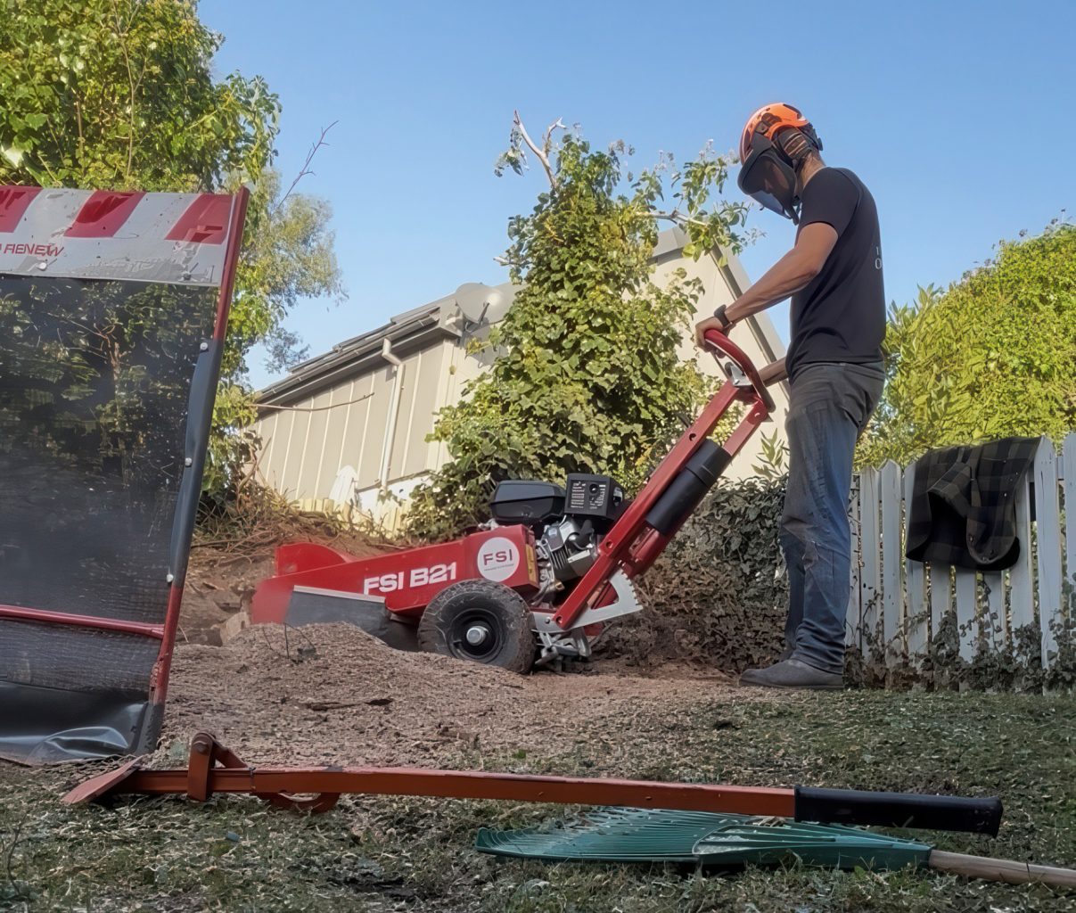 Hewitt Tree Surgery large