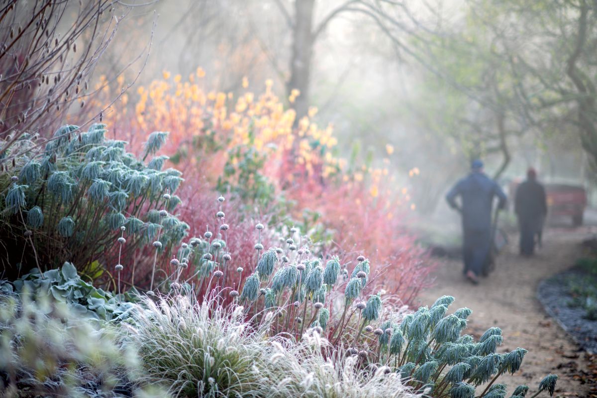 What’s on this January at Kew Gardens and Wakehurst 3 JE 281124 8774