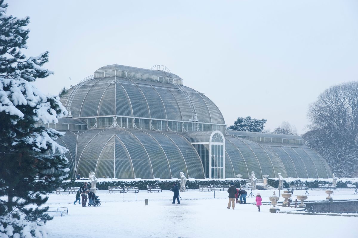 What’s on this January at Kew Gardens and Wakehurst 1 The Palm House in the snow
