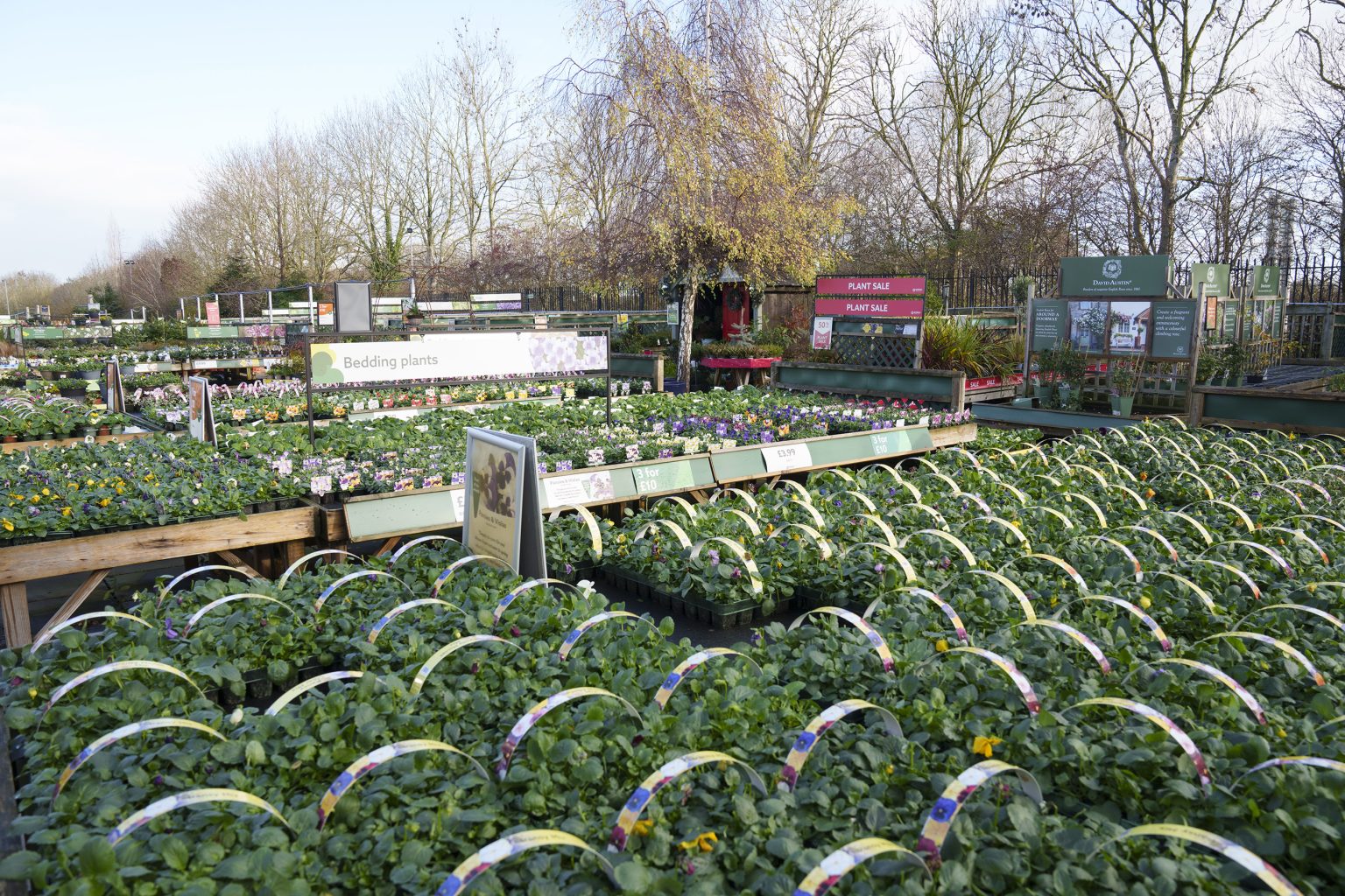 Dobbies continues national refurbishment programme with Moreton Park upgrade 5 UNP Dobbies 47298 Moreton Park Refurbishment047