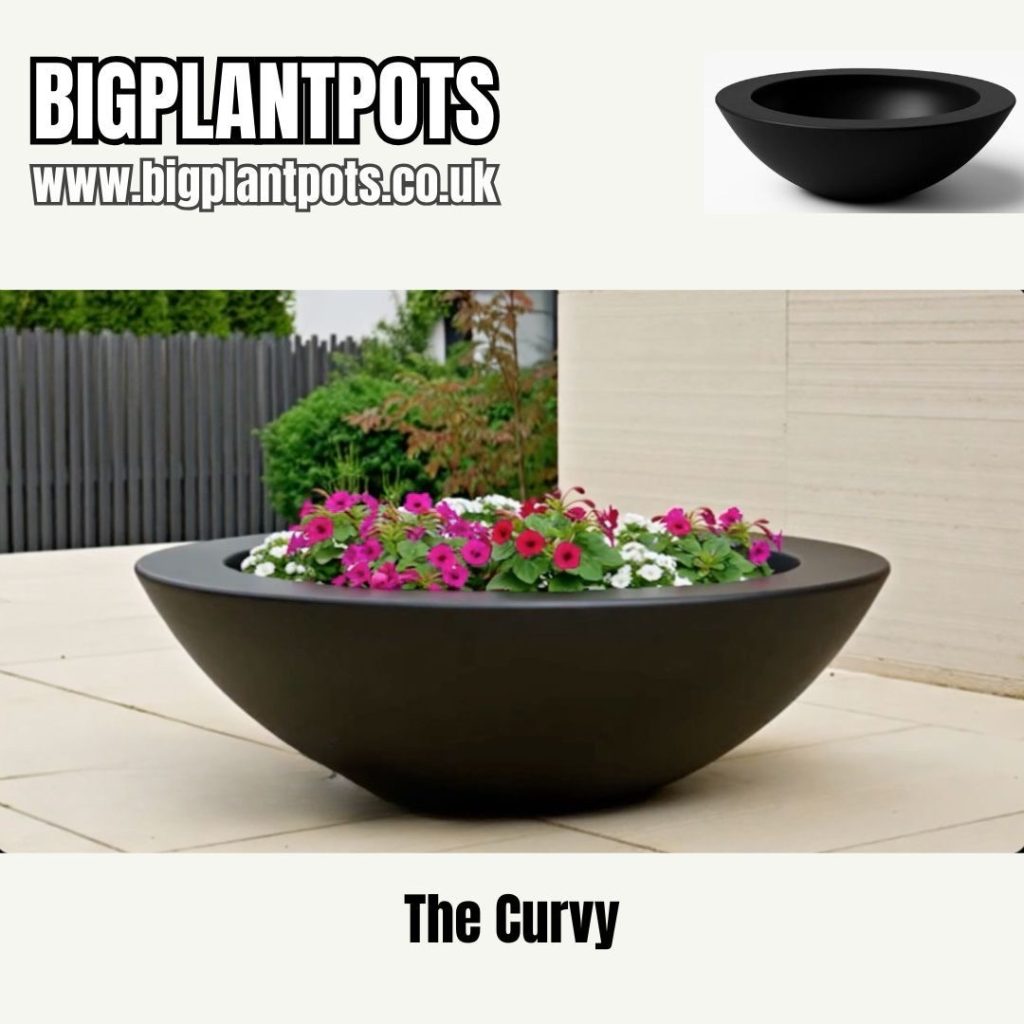 BigPlantPots: Bold Design, Built for Growing Big 3 d4a8954b 95fb 4aa2 922c 0907d7d91316