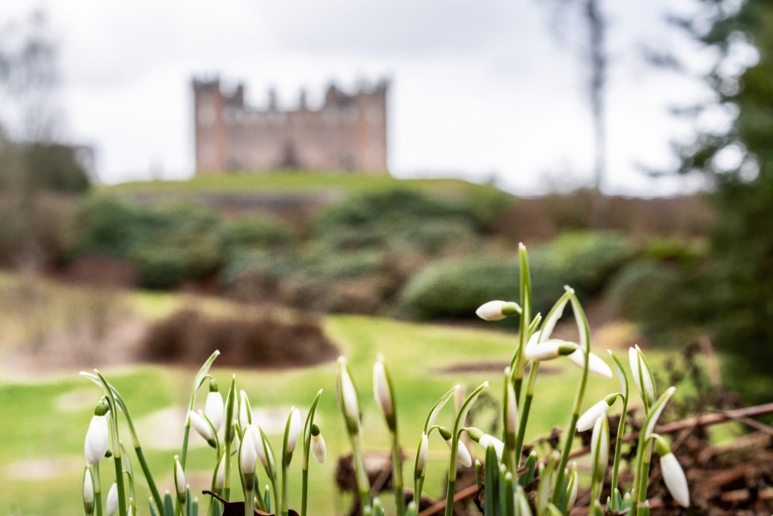 Drumlanrig Castle & Country Estate Celebrates the first signs of Spring with Snowdrop Walks and NEW Photography Competition 2 Drumlanrig Castle4