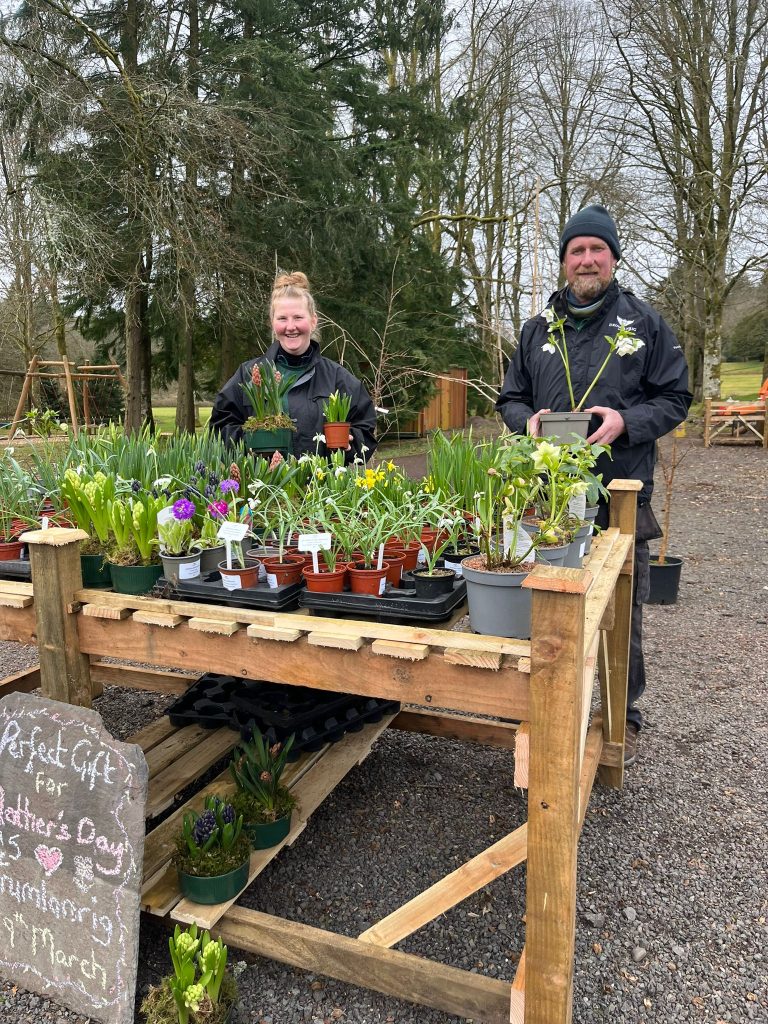 Drumlanrig Castle & Country Estate Celebrates the first signs of Spring with Snowdrop Walks and NEW Photography Competition 1 IMG 20230305 WA0012