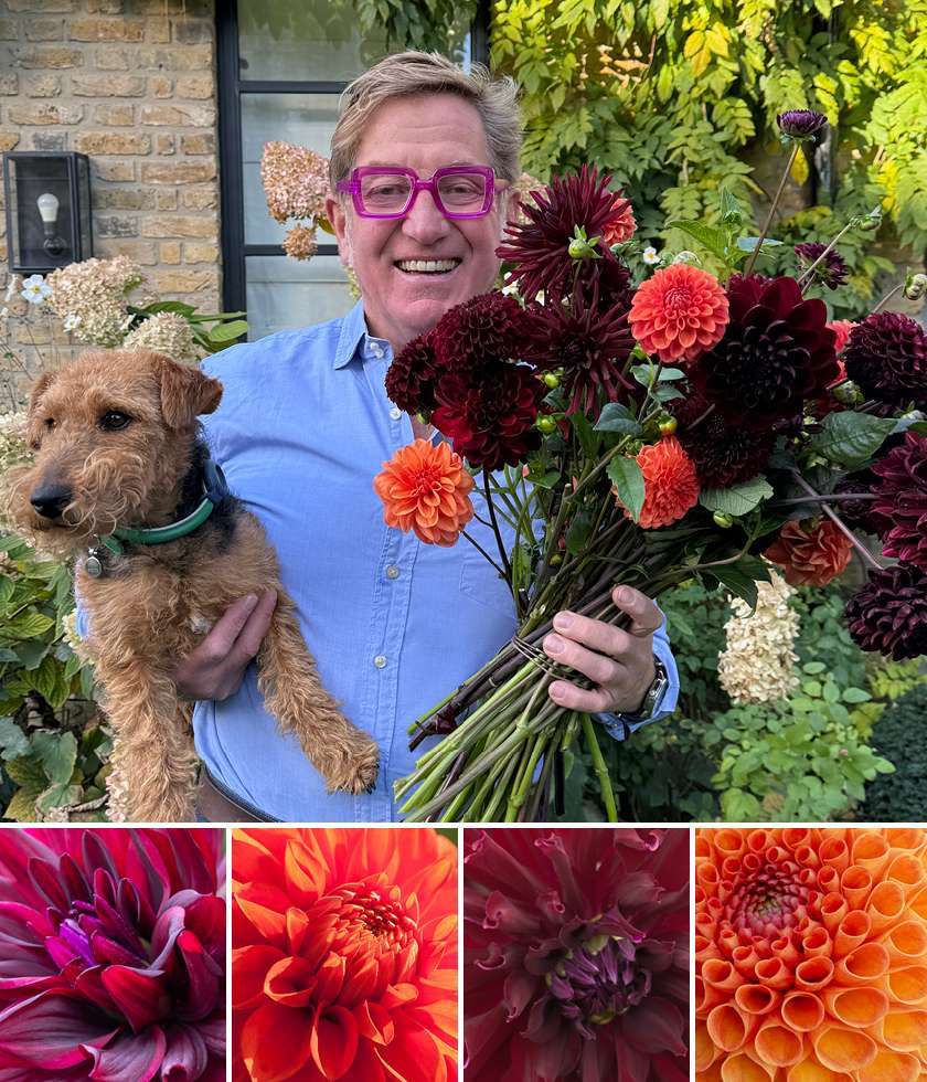 Johnnie Boden Collage