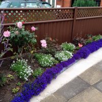 Colourfence Solihull 26 
